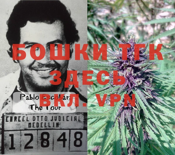 дурь Пенза
